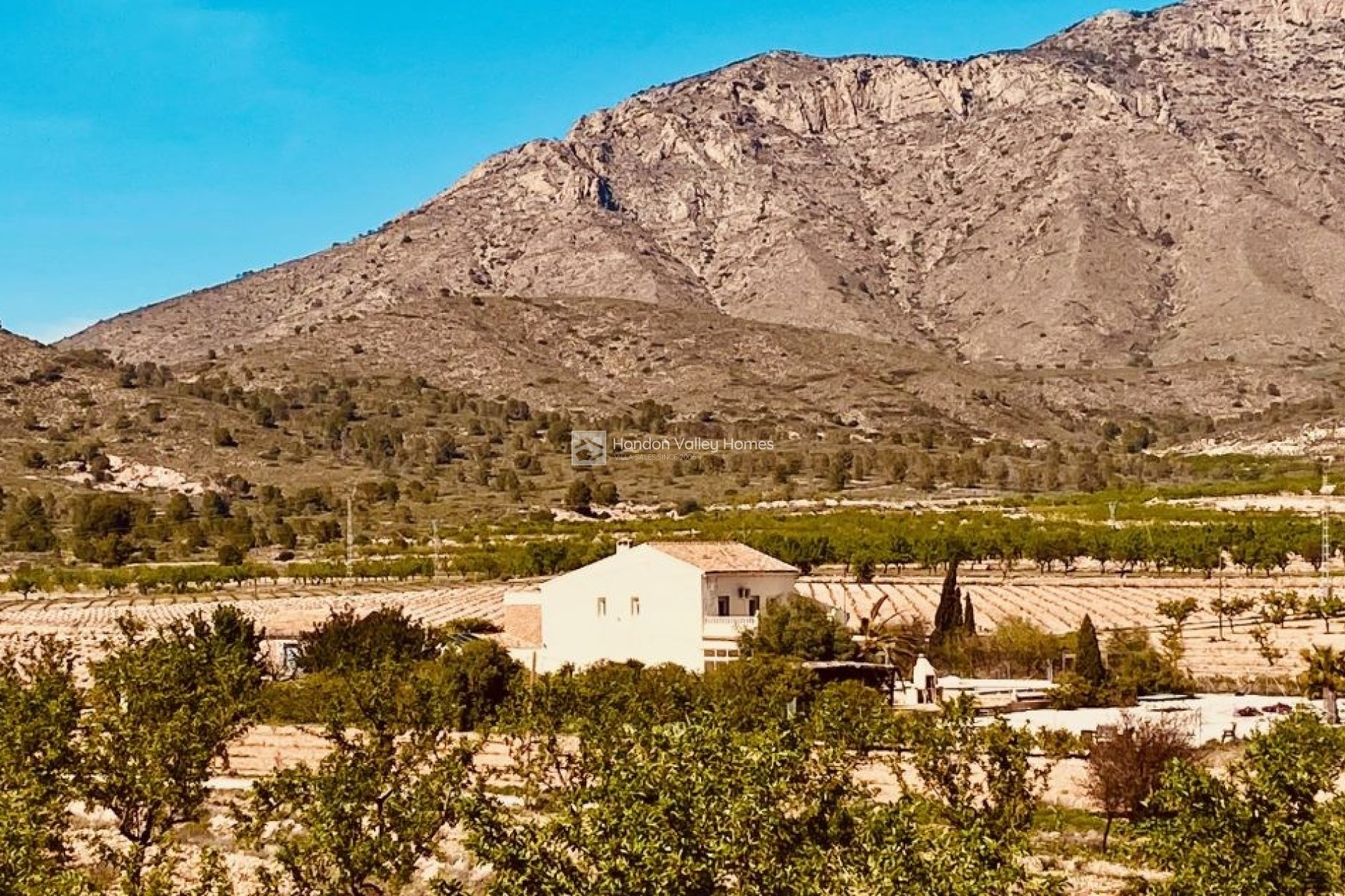 Revente - Manor house - El Canton