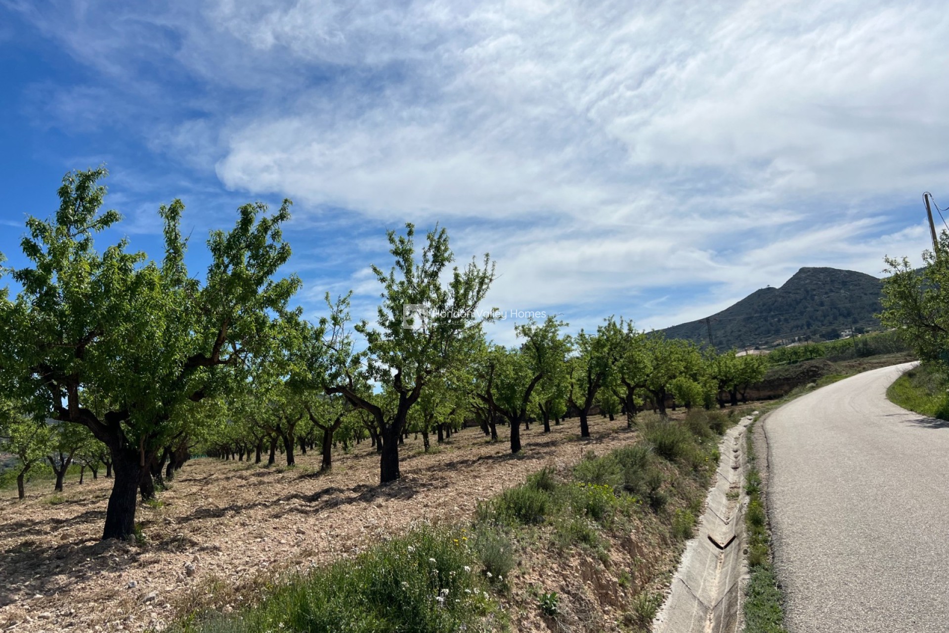 Revente - Parcelle / Terrain - Hondón de los Fráiles