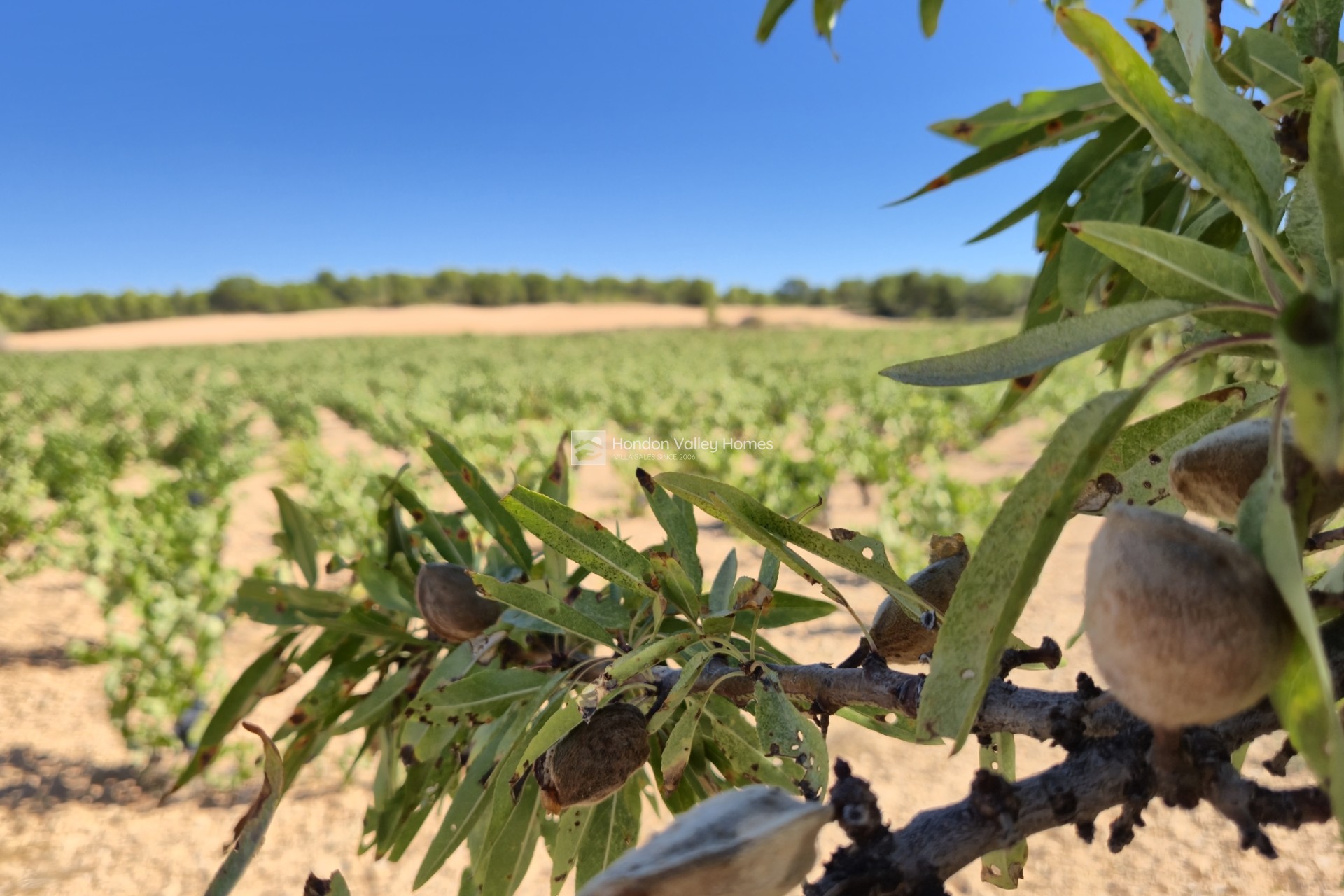 Revente - Plattelandswoningen - Yecla