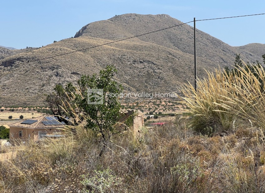 Revente - Plot - Barbarroja