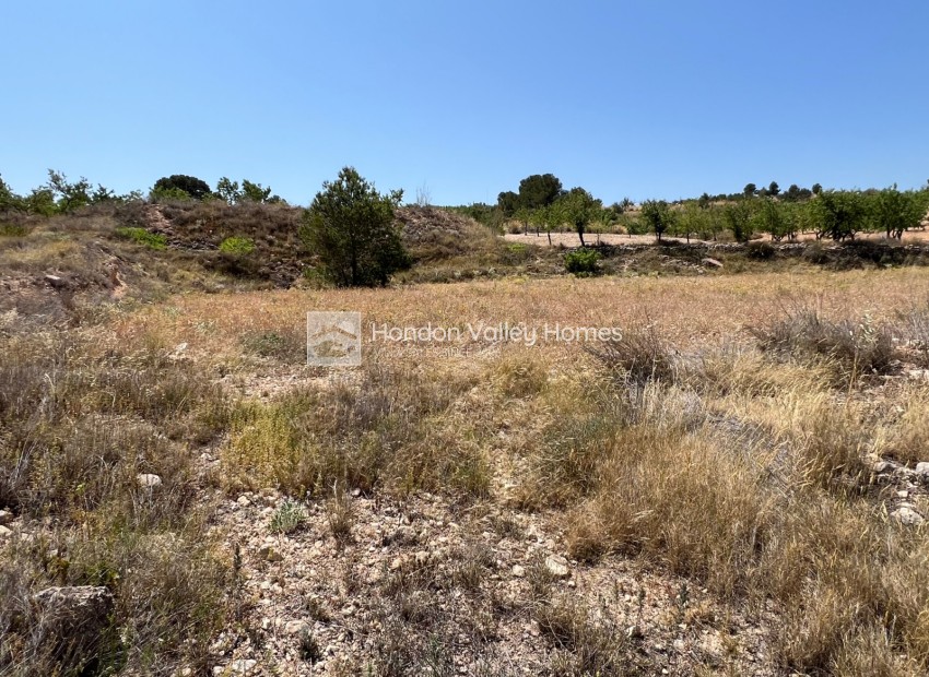 Revente - Plot - Barbarroja