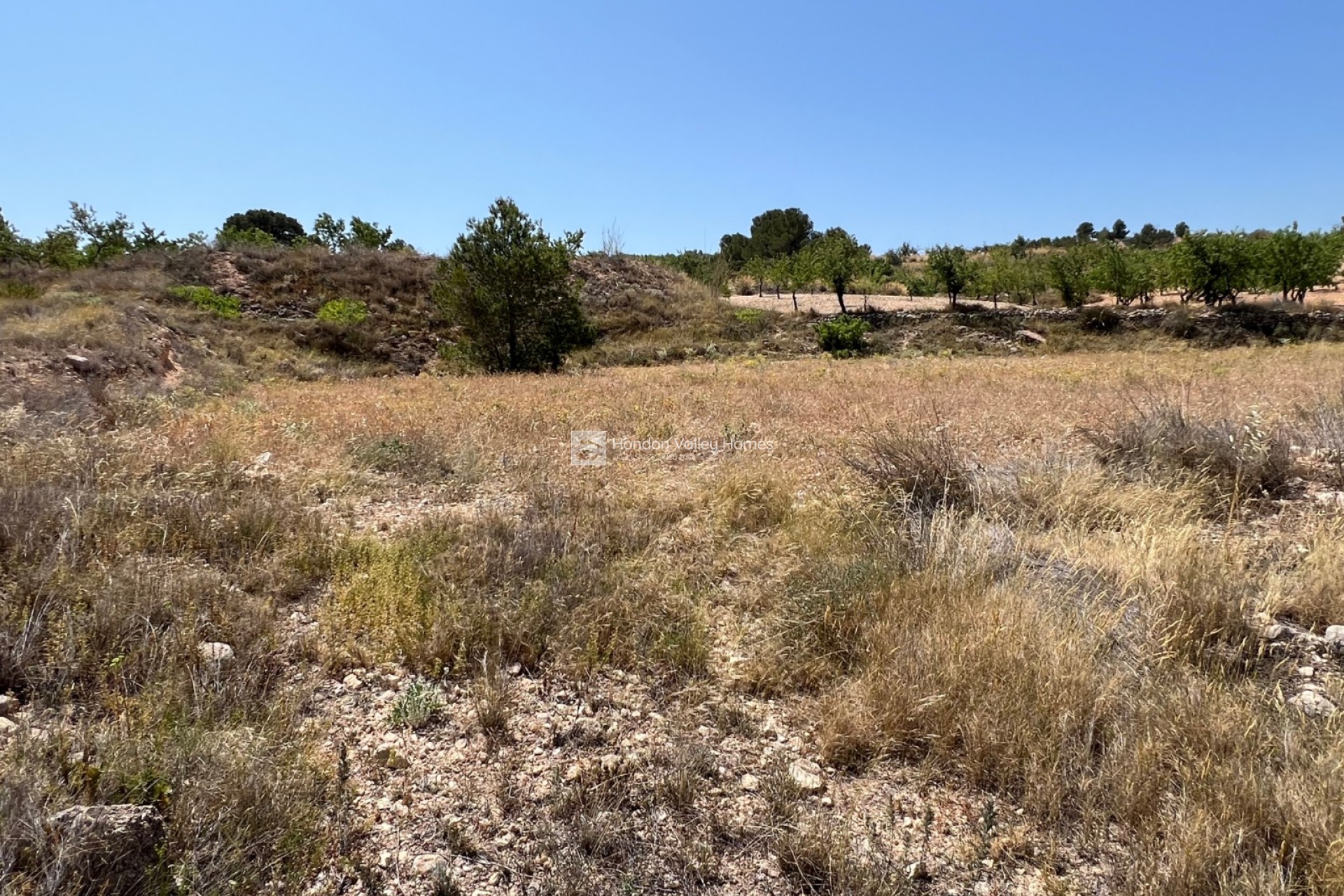 Revente - Plot - Barbarroja