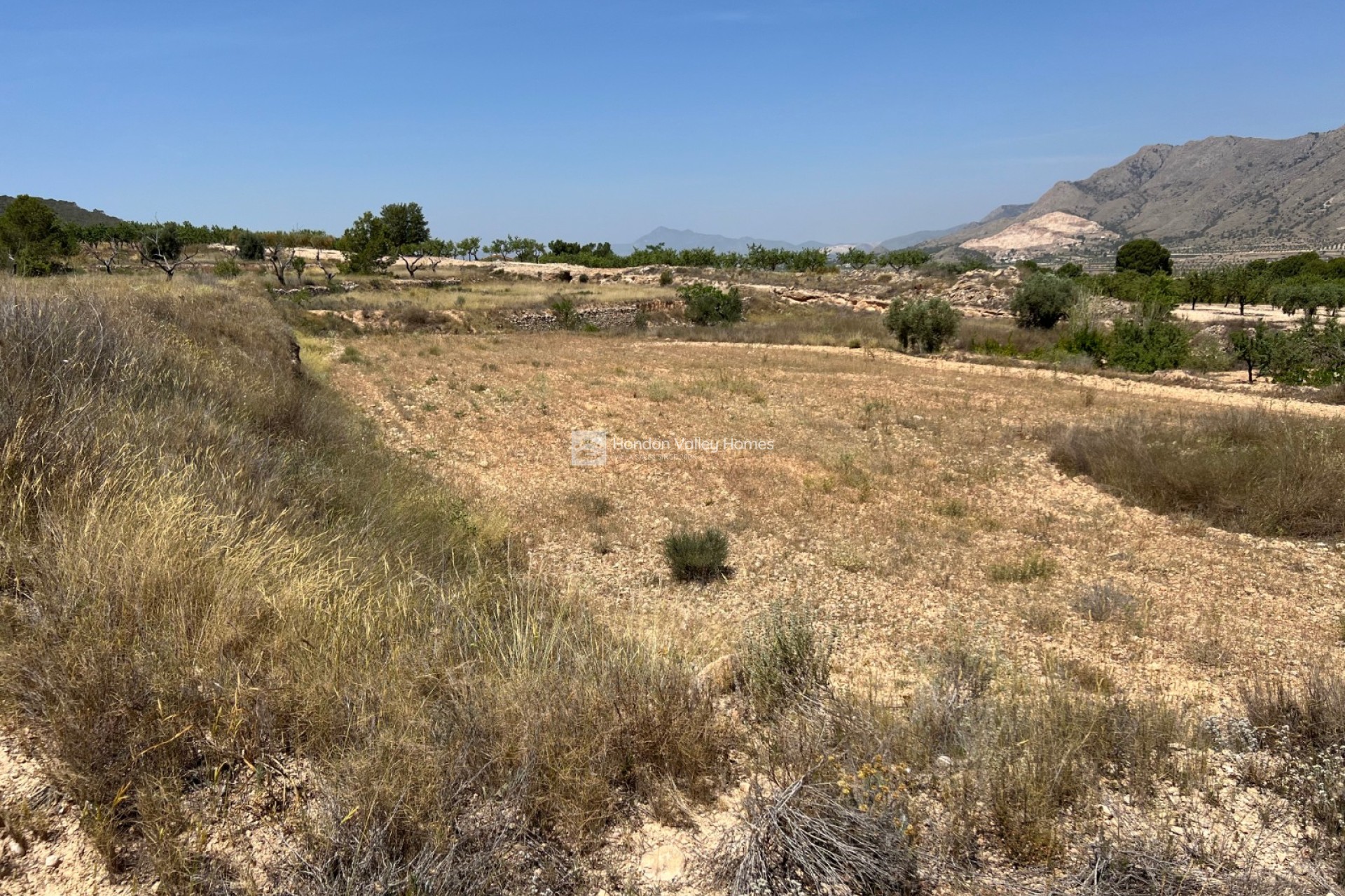 Revente - Plot - Barbarroja