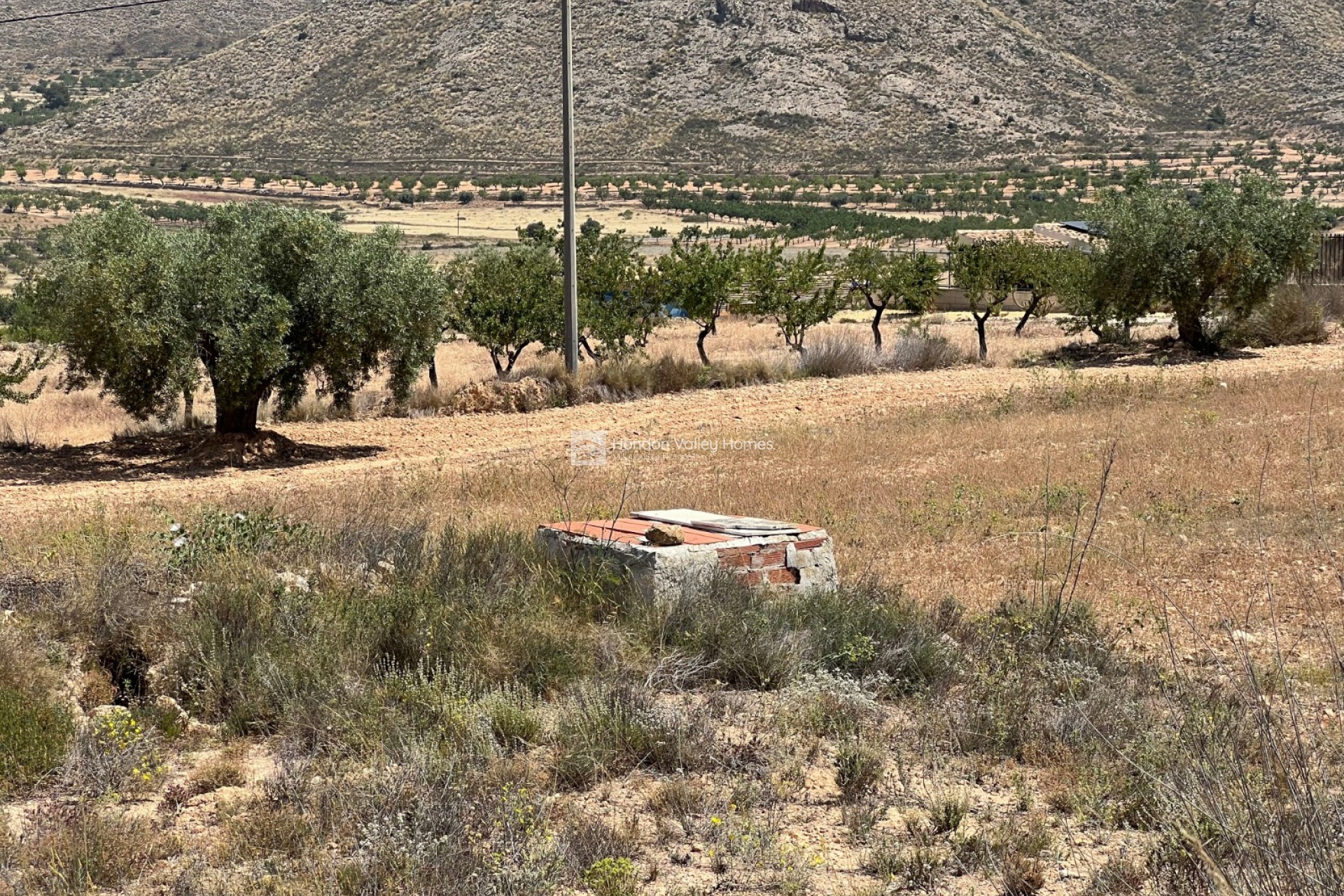 Revente - Plot - Barbarroja