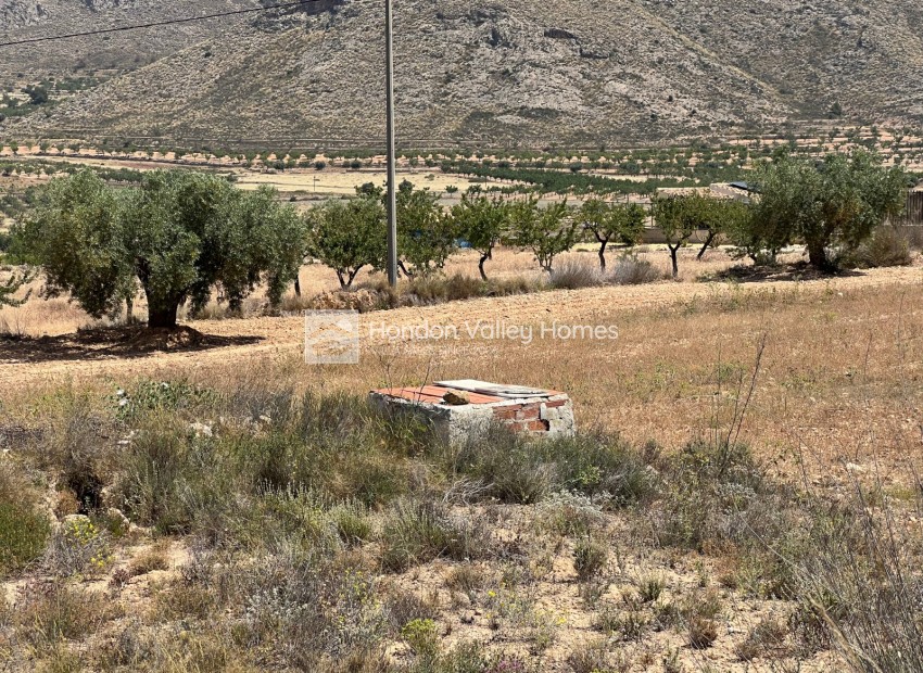Revente - Plot - Barbarroja