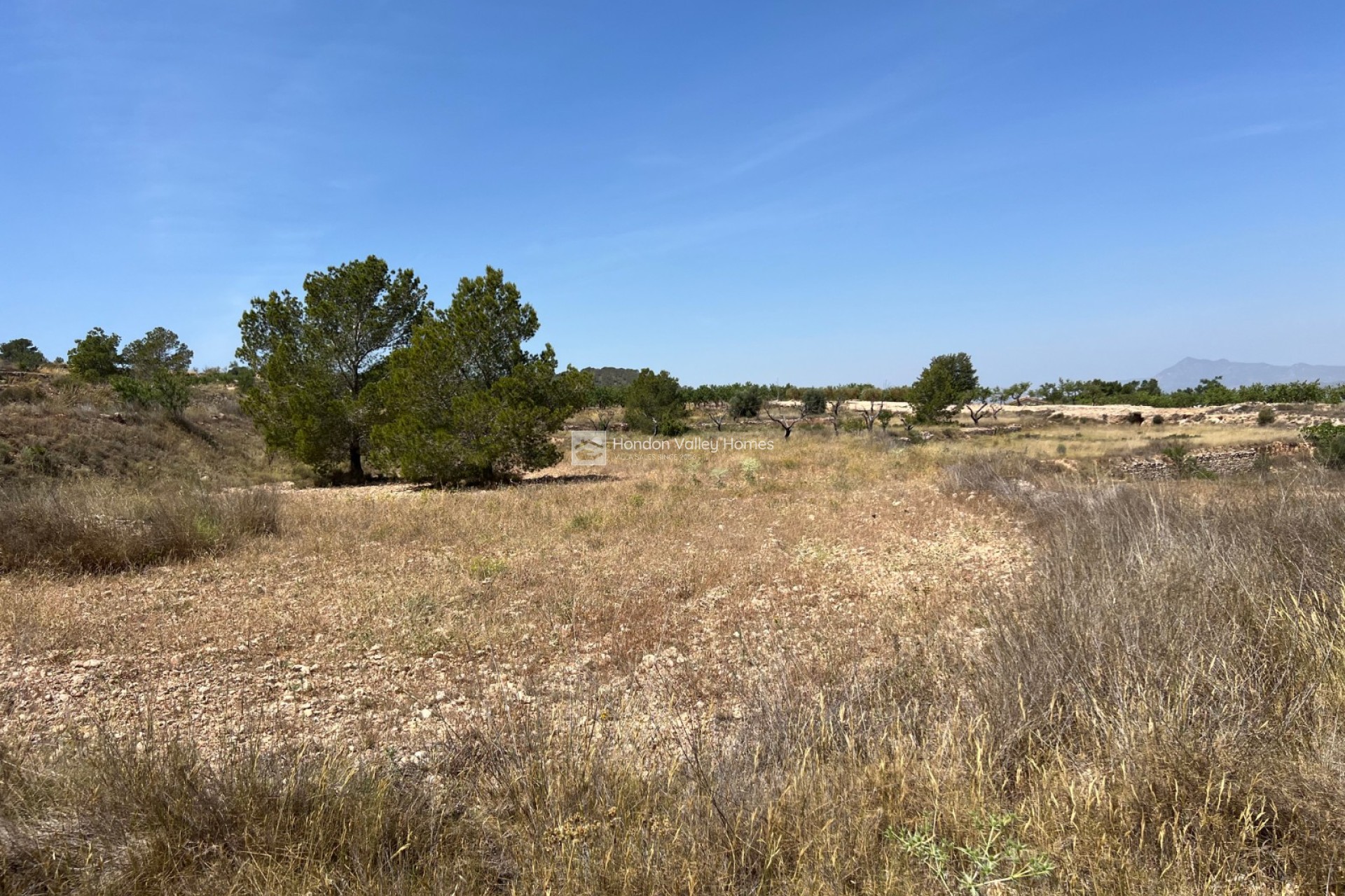 Revente - Plot - Barbarroja