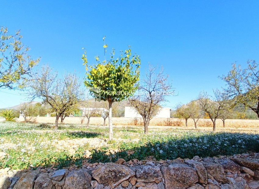 Revente - Town house - Hondón de los Fráiles