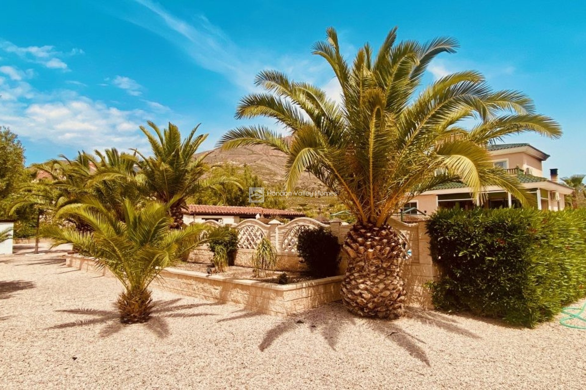 Revente - Villa - Detached - Macisvenda