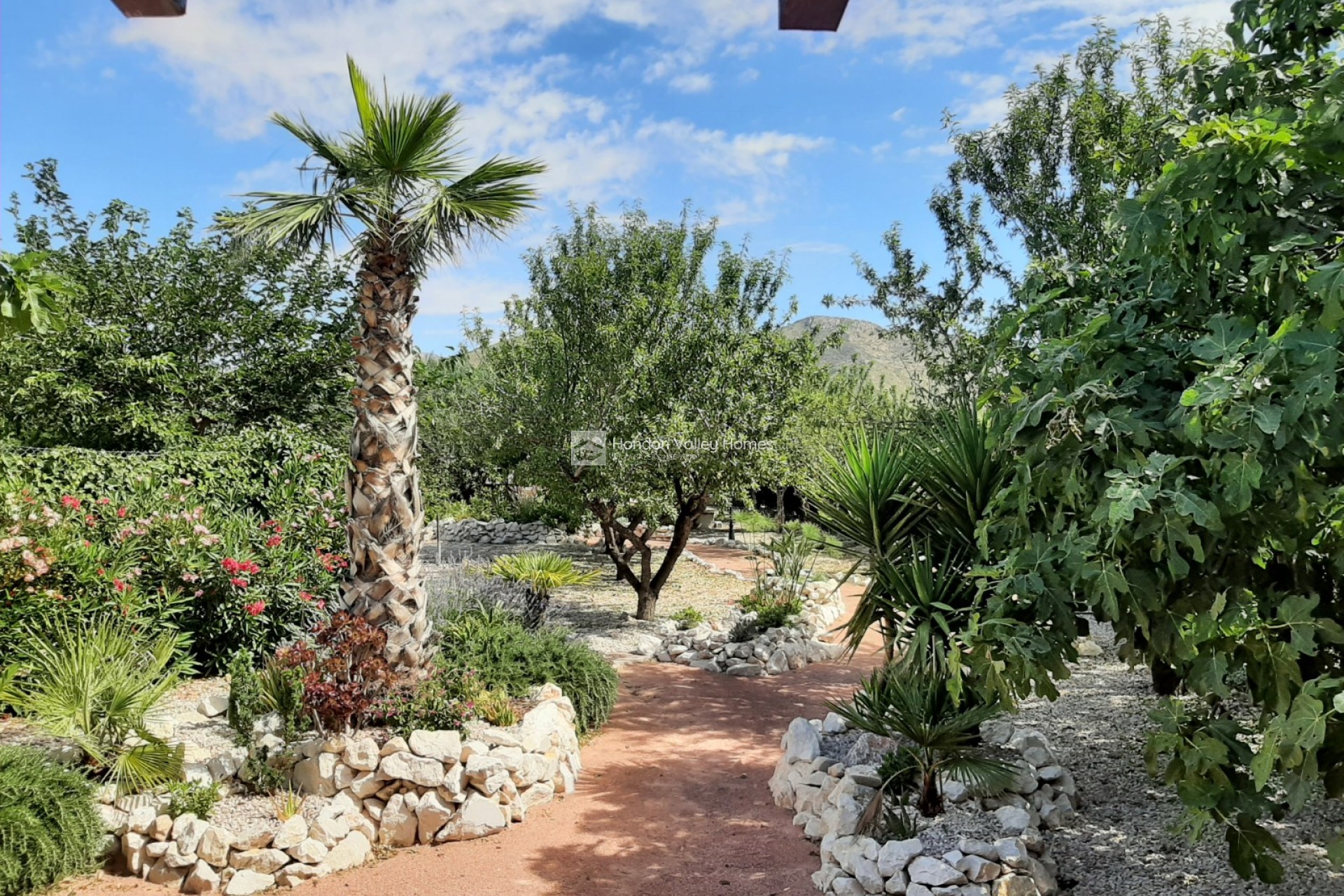 Revente - Ville - Barbarroja