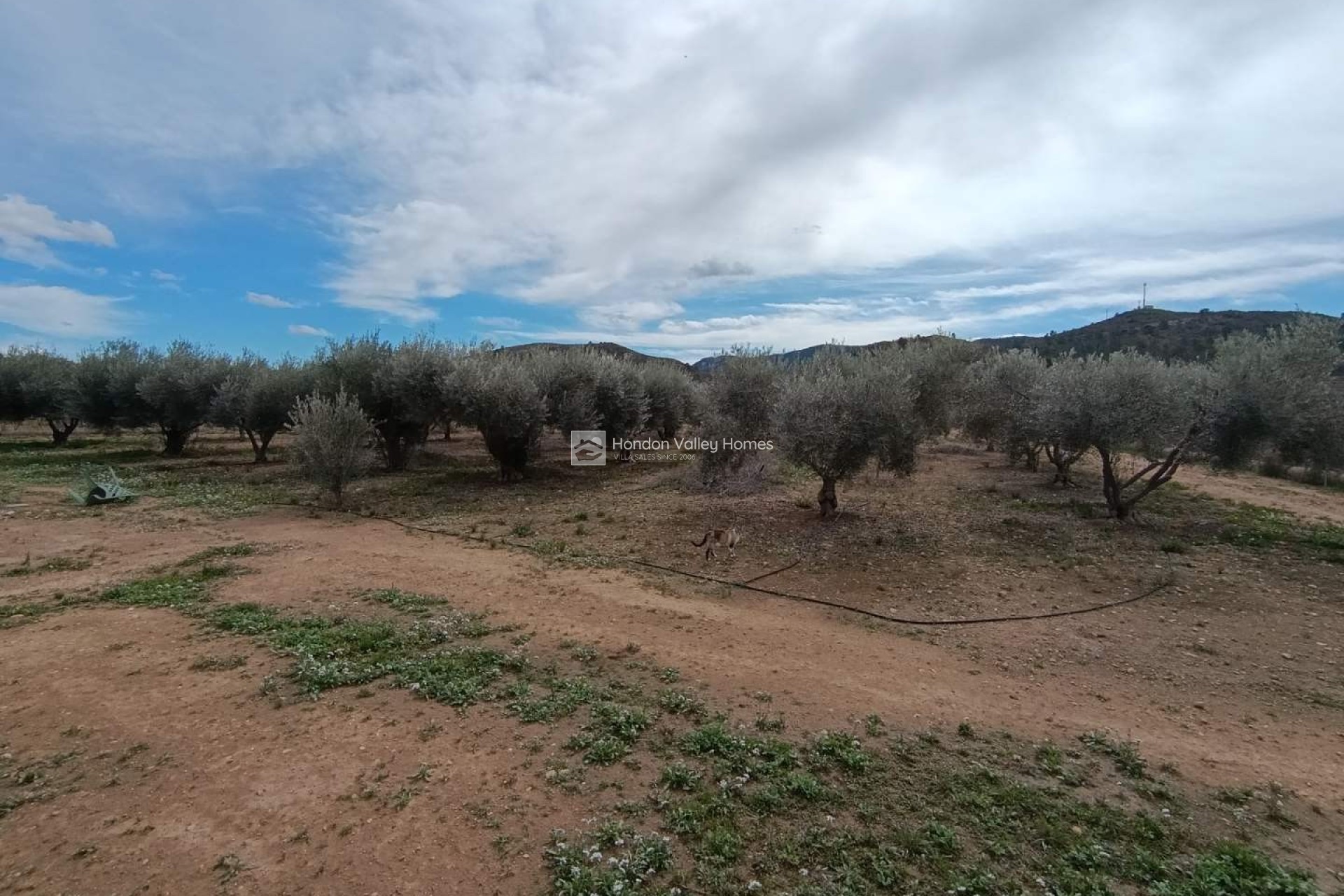 Revente - Ville - Hondón de las Nieves