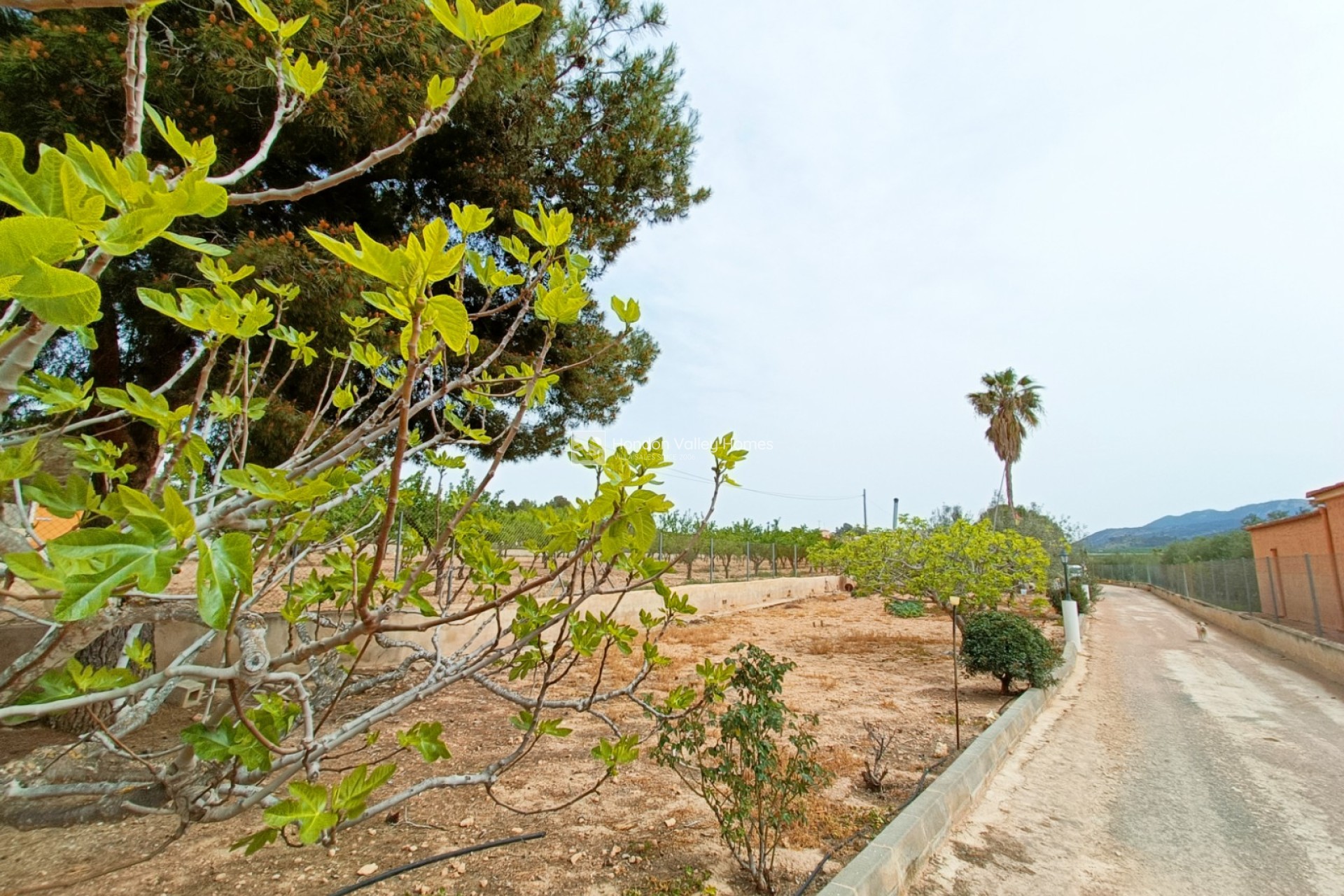 Revente - Ville - Hondón de los Fráiles