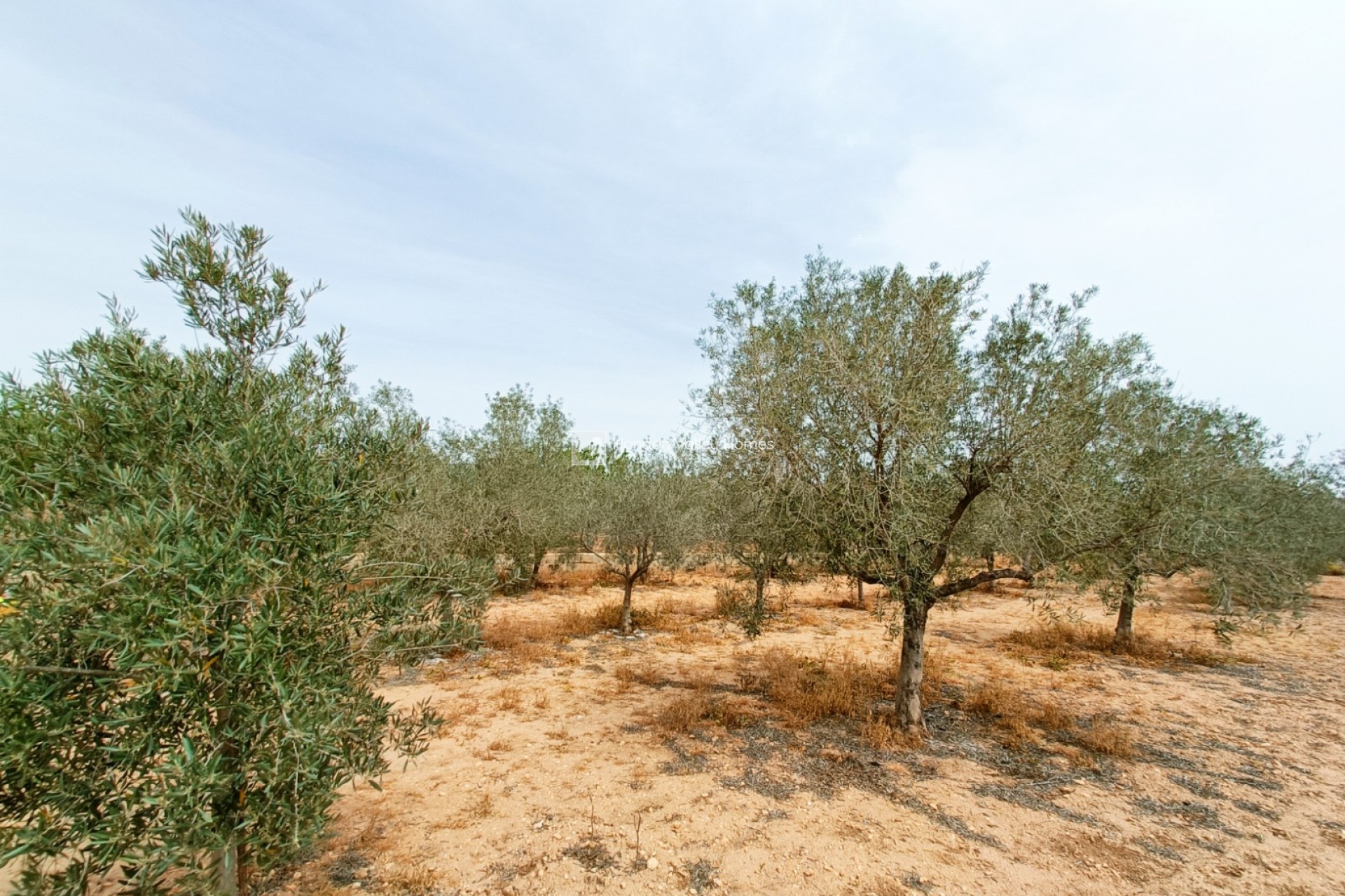 Revente - Ville - Hondón de los Fráiles