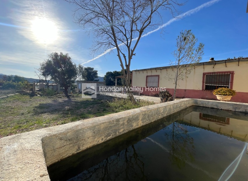 Rynek wtórny - Finca / Country Property - Aspe