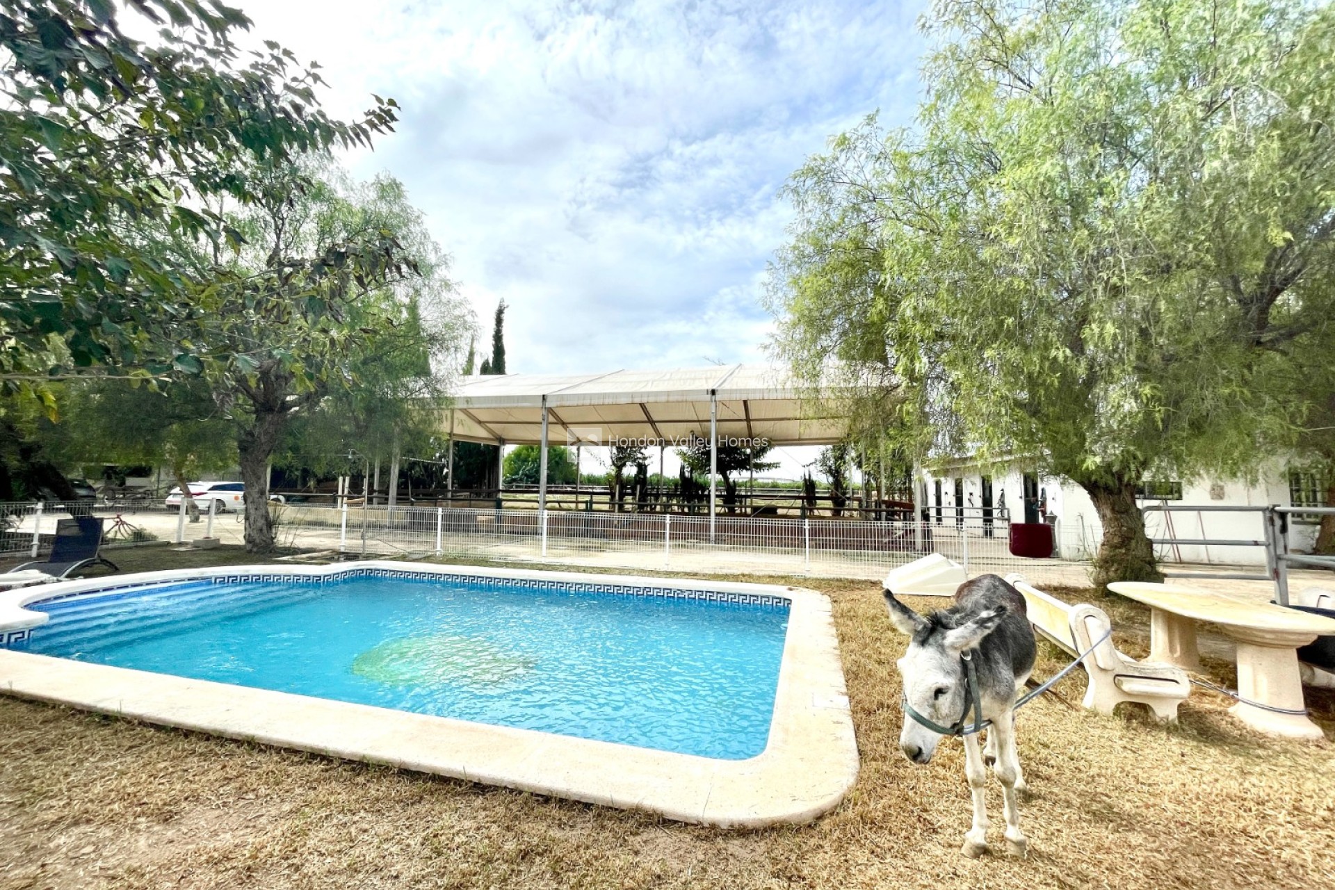 Rynek wtórny - Finca / Country Property - Orihuela