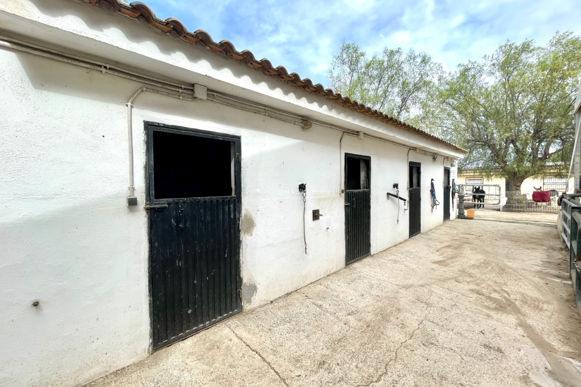 Rynek wtórny - Finca / Country Property - Orihuela