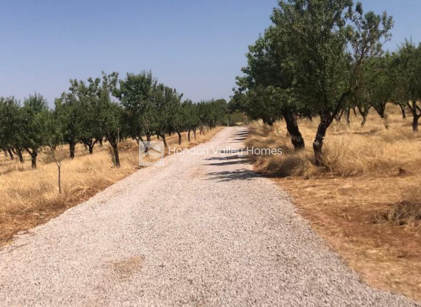 Rynek wtórny - Perceel - Ayora