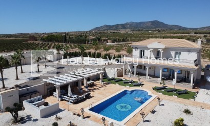 Villa - New Build / Off-Plan - Pinoso - Pinoso