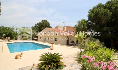 Villa - Rynek wtórny - Hondón de las Nieves - Hondón de las Nieves