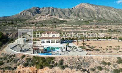 Villa - Wiederverkauf - Macisvenda - HVH-MACVIL25