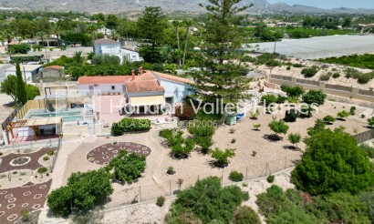 Ville - Revente - Crevillente - HVH-RENECREV