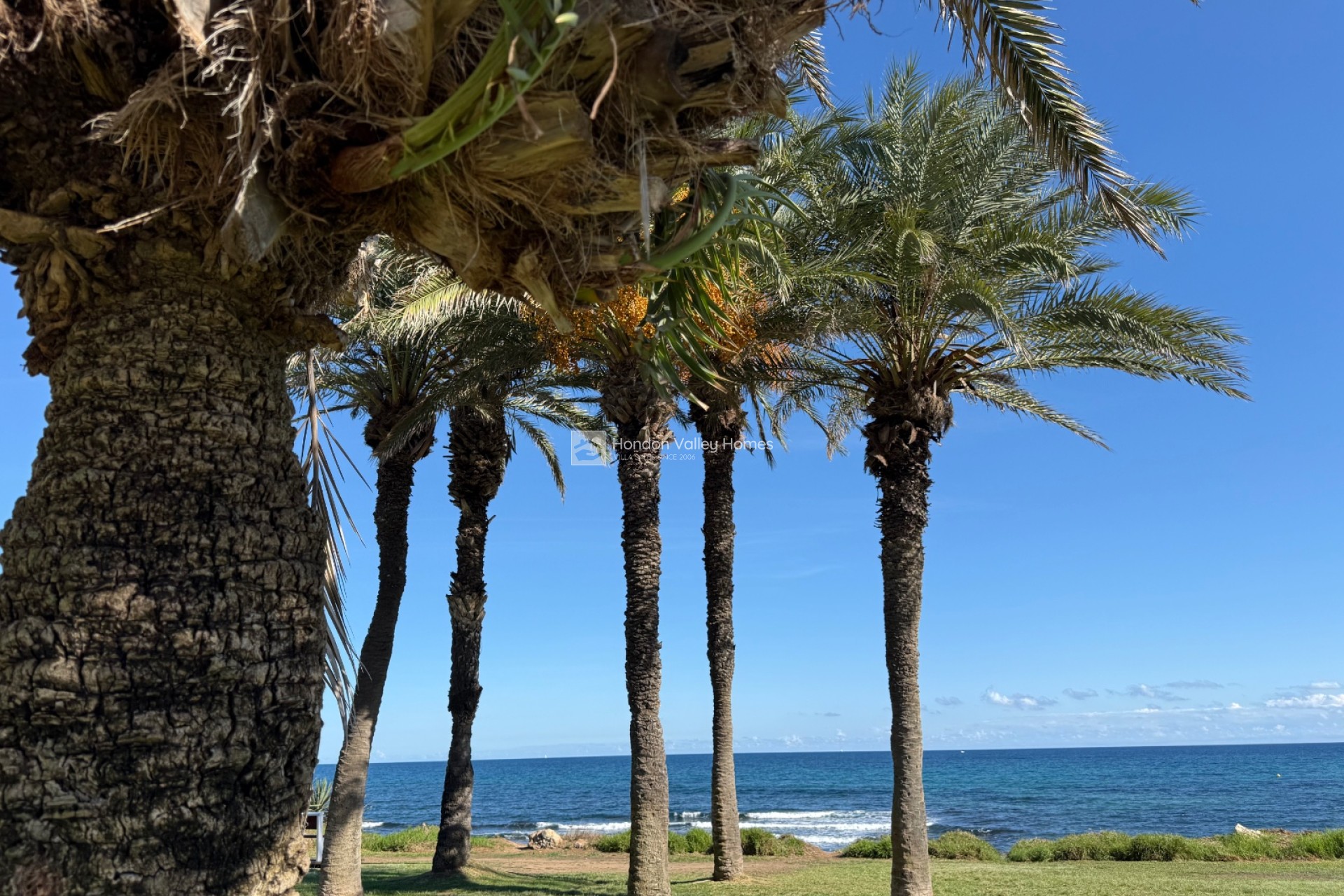 Wiederverkauf - Apartments - Torrevieja - La Veleta