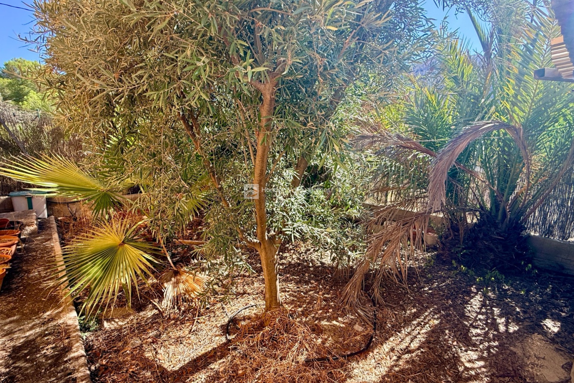 Wiederverkauf - Cave home - Algueña