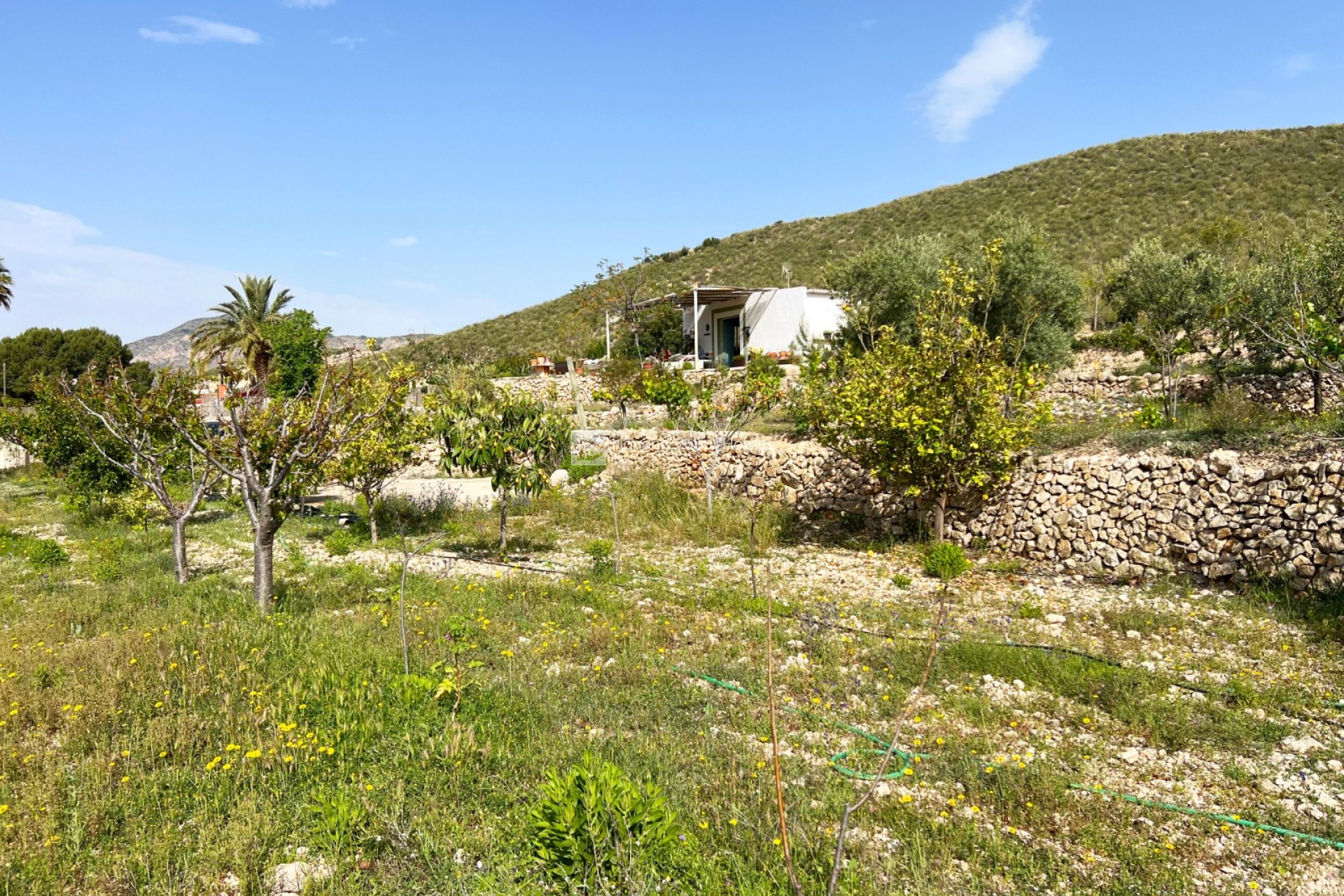 Wiederverkauf - Country home - Hondón de las Nieves