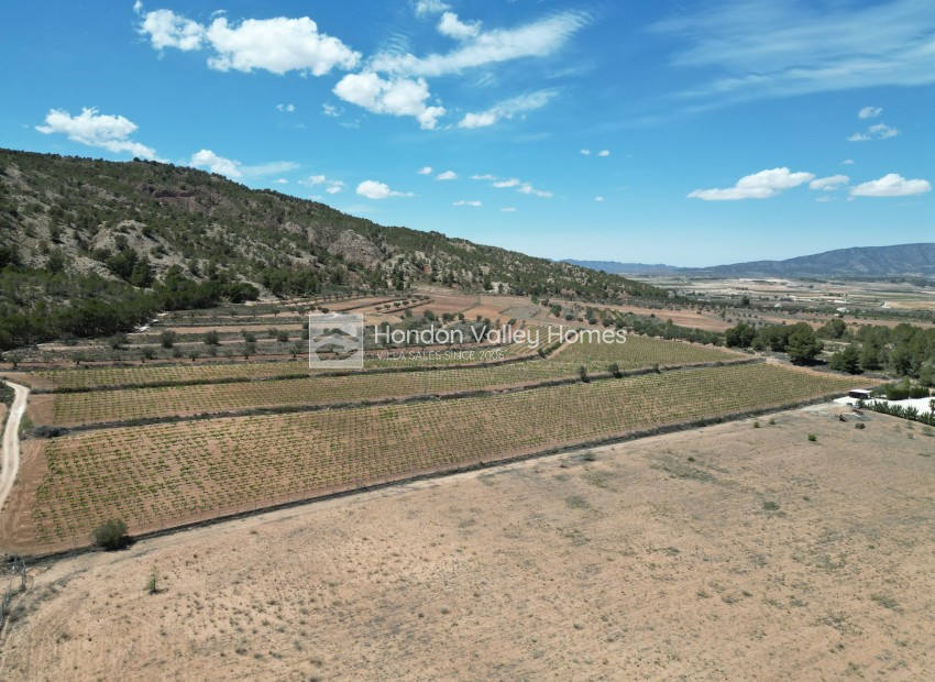 Wiederverkauf - Grond - Pinoso