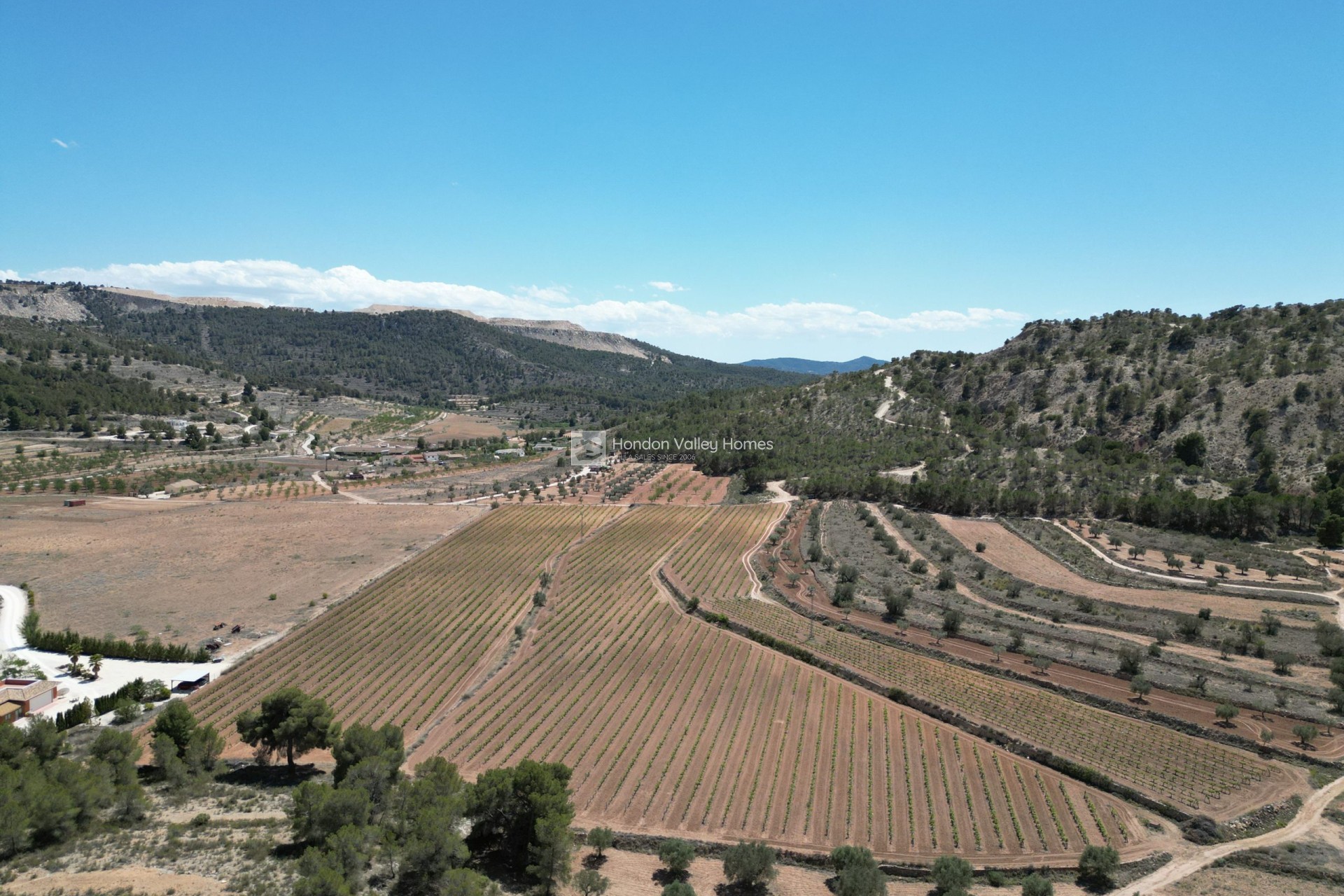 Wiederverkauf - Grond - Pinoso