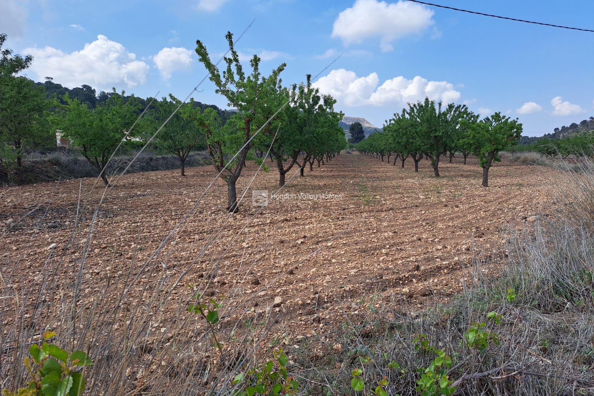 Wiederverkauf - Grond - Pinoso