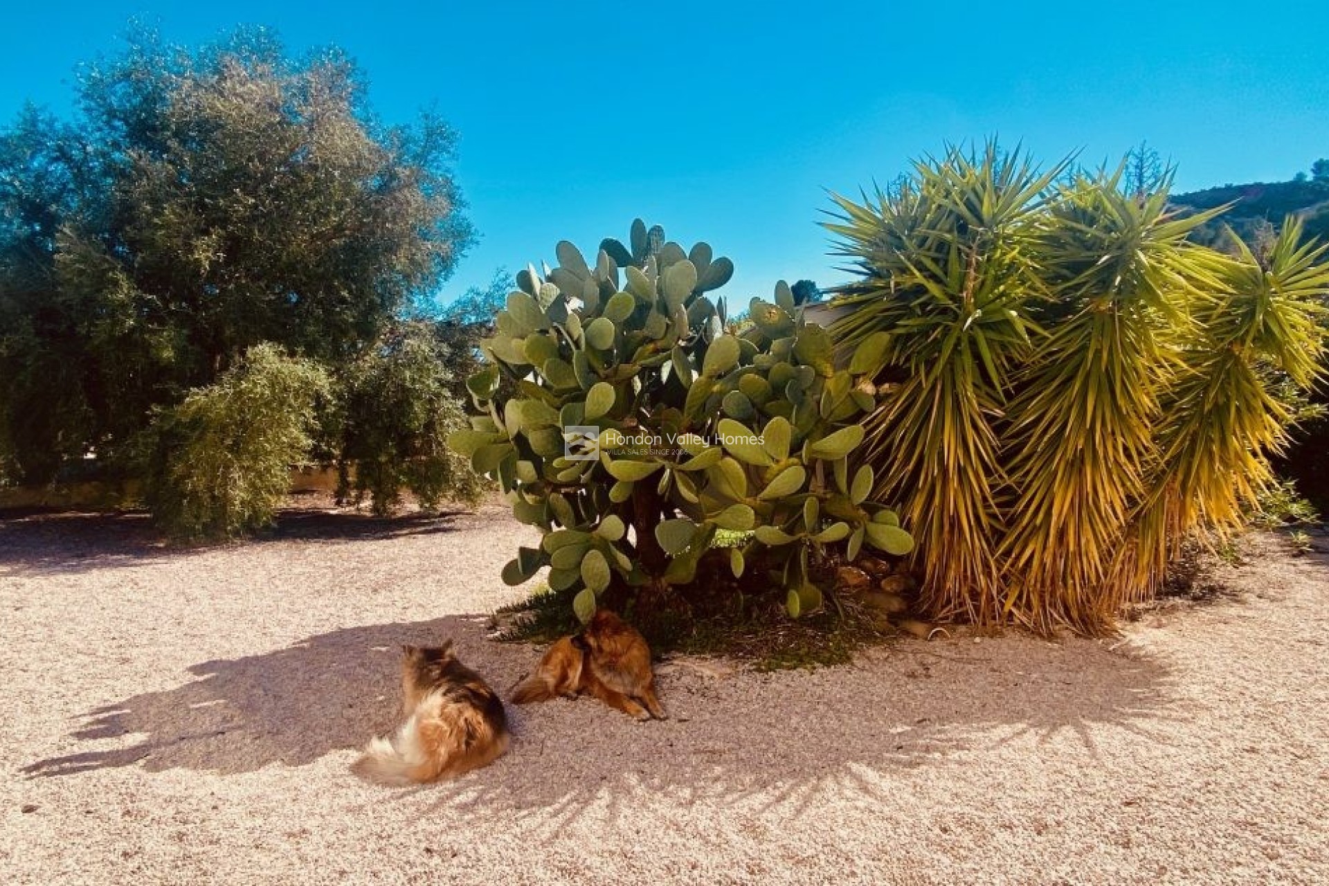 Wiederverkauf - Manor house - El Canton