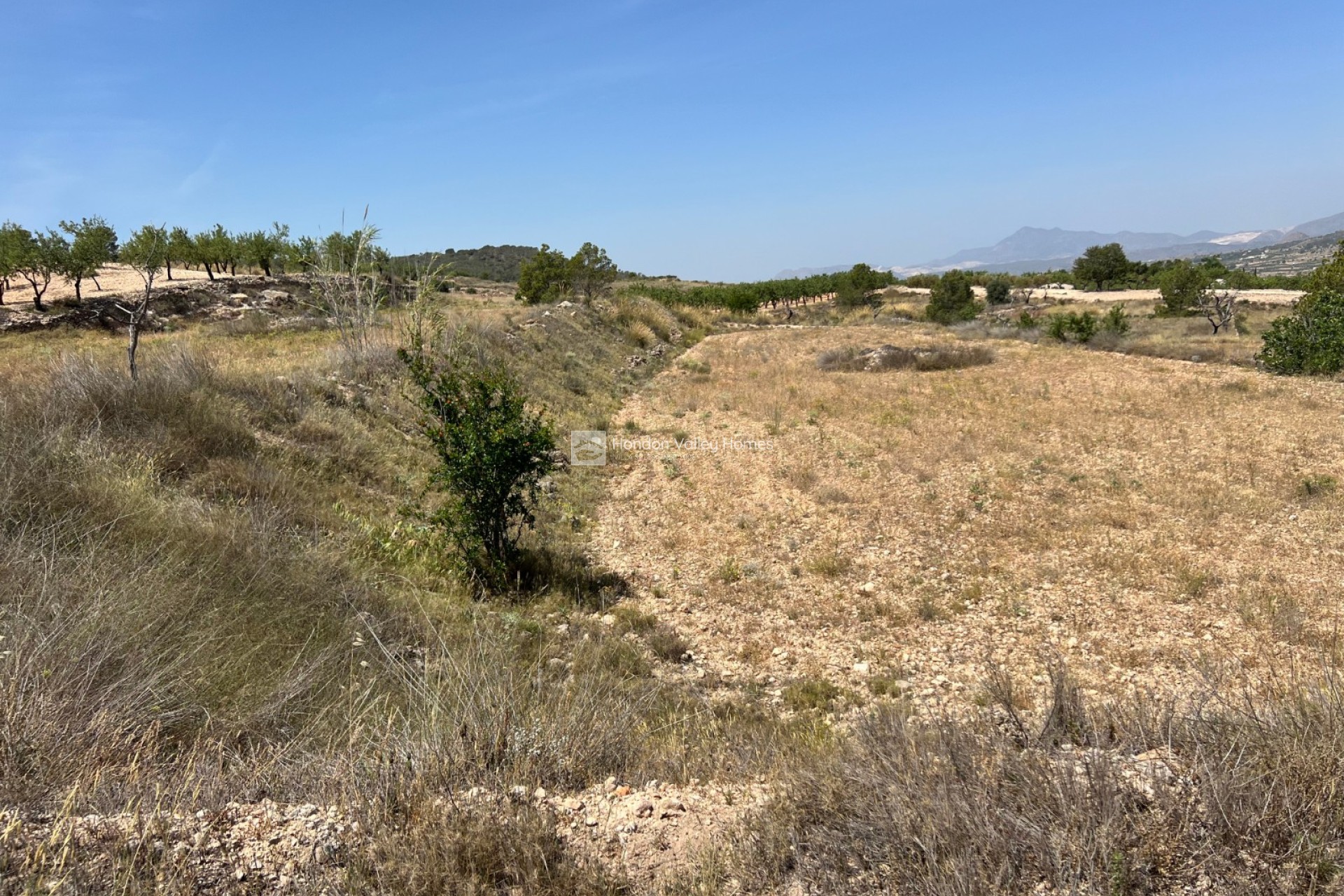 Wiederverkauf - Plot - Barbarroja