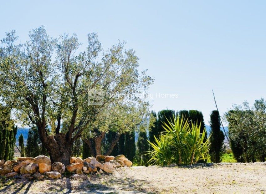 Wiederverkauf - Villa - Jumilla