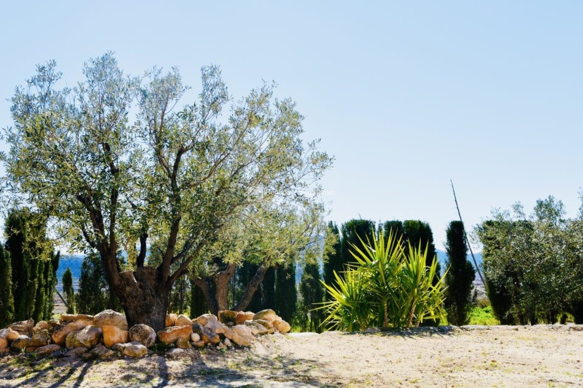 Wiederverkauf - Villa - Jumilla