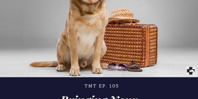 TMT Ep.105 Bringing Your Pets to Spain