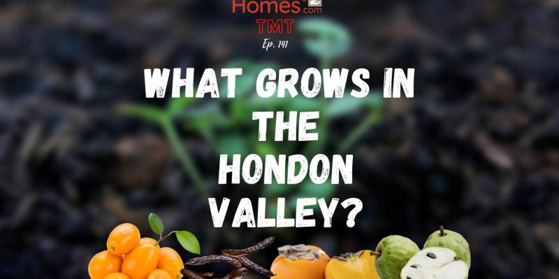 TMT Ep.141 What can You Grow in your Hondon Valley Garden.