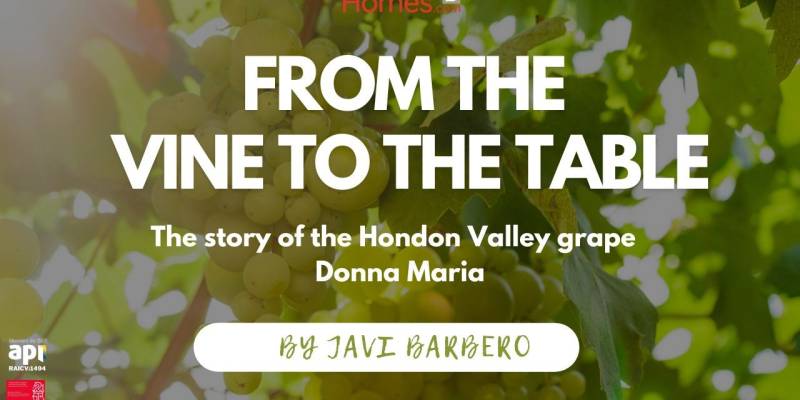 TMT Special Video: From the Vine to the Table – The story of the Hondon Valley Grape.