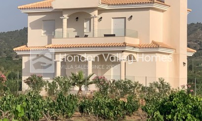 Obra Nueva / En Proyecto - Villa - Pinoso