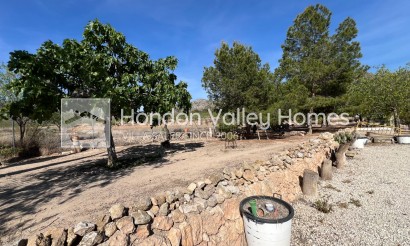 Reventa - Country home - Hondón de los Fráiles