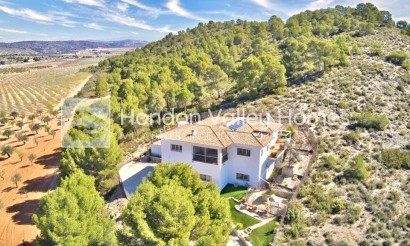 Resale - Villa - Villena