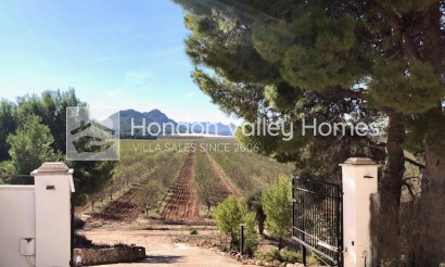 Resale - Villa - Villena