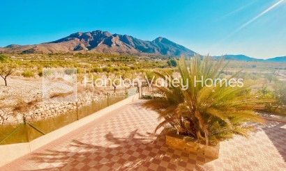 Resale - Villa - Macisvenda