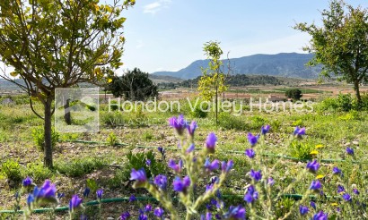 Revente - Country home - Hondón de las Nieves