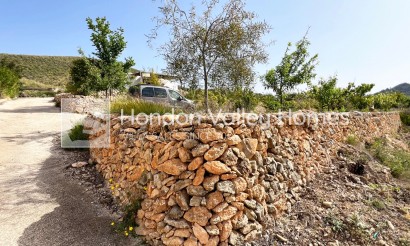 Revente - Country home - Hondón de las Nieves