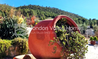 Resale - Villa - Pinoso