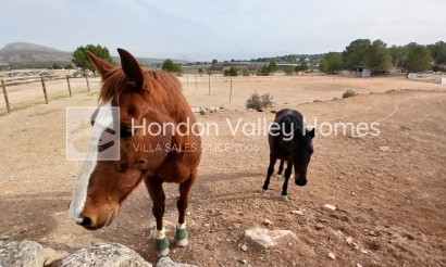 Revente - 5. Finca / Country Property - Monovar