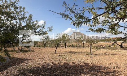 Reventa - Villa - Barbarroja