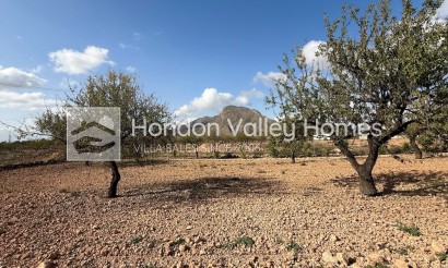 Reventa - Villa - Barbarroja
