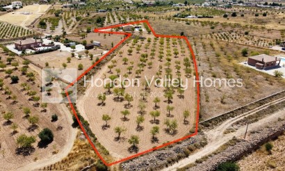 Reventa - Villa - Barbarroja