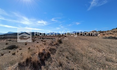 Neuf / En Projet - Ville - Novelda